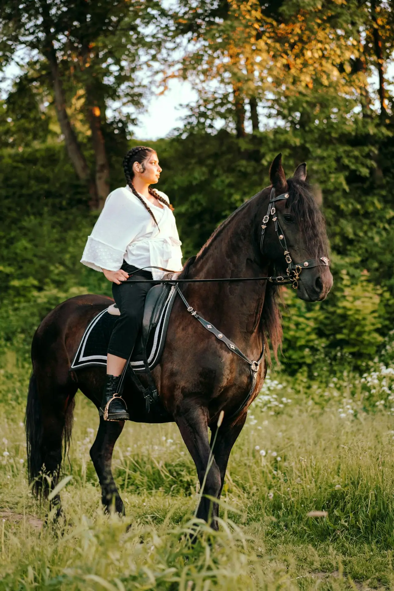 A woman sits gracefully on a black horse amidst lush greenery on a sunny day.