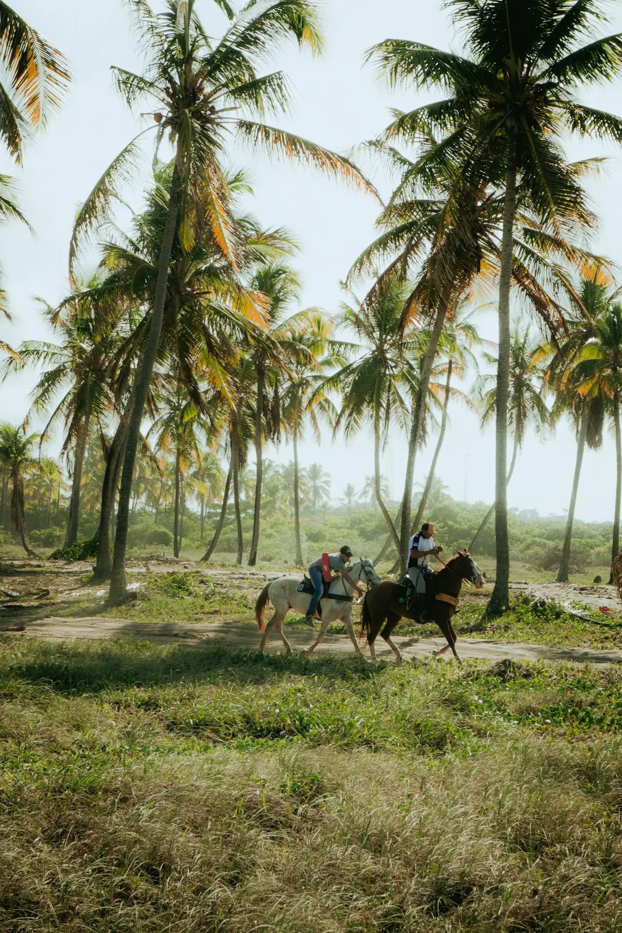 Two people riding horses under swaying palm trees, embodying leisure and adventure.