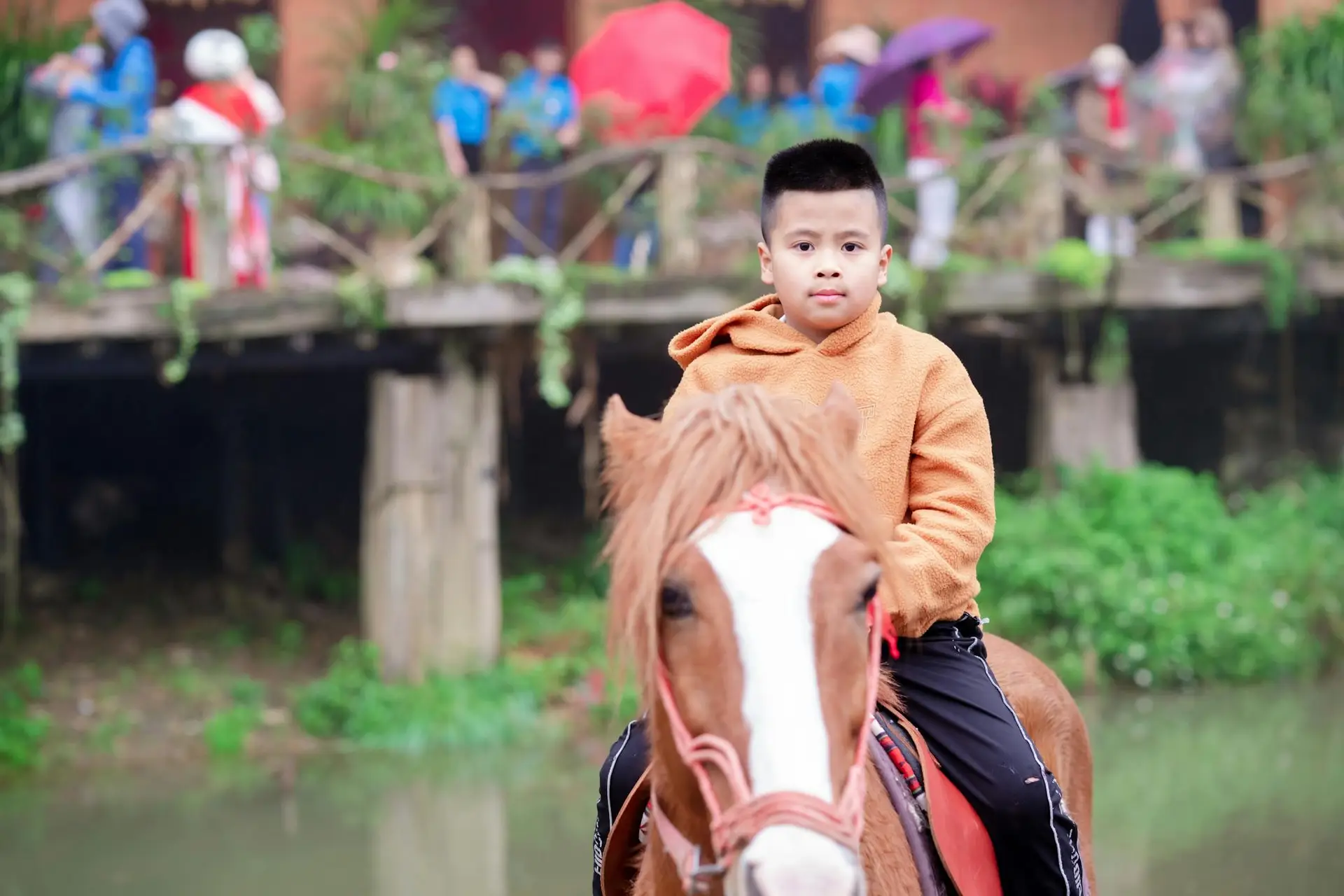 Young boy enjoying horseback ride in a lush outdoor environment, surrounded by people and greenery.